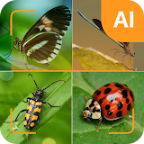 Insect ID - AI insect identify icon