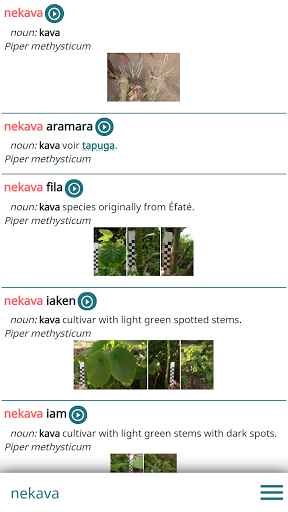 Naua taha Netwar Screen 3