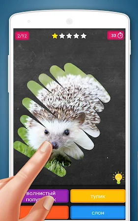 Game screenshot Скретч-игра: Животные hack