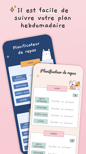 Aperçu de l'application