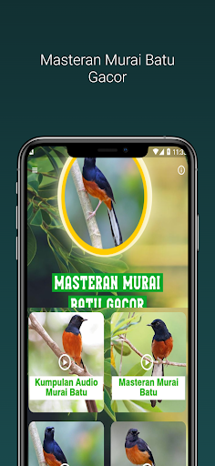 Android application Masteran Murai Batu Gacor screenshort