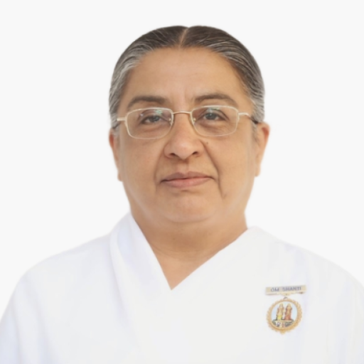 BK Sheilu Didi logo