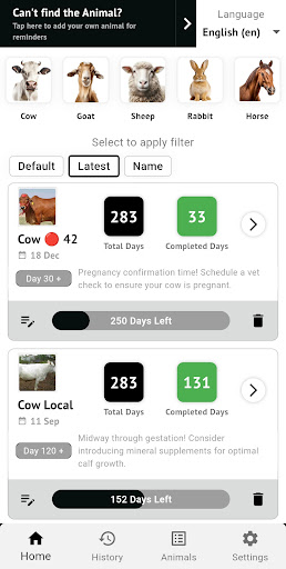 App preview