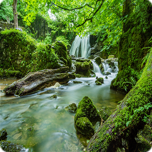 Nature Wallpapers logo