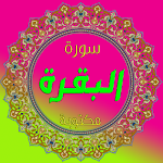 Cover Image of डाउनलोड سورة البقرة مكتوبة 2 APK