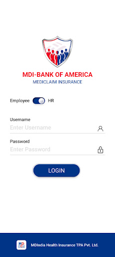 MDI IBA Bank of America Screen 2