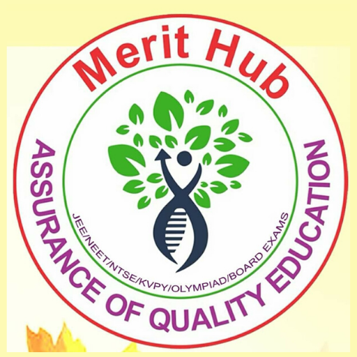 MeritHub Academy