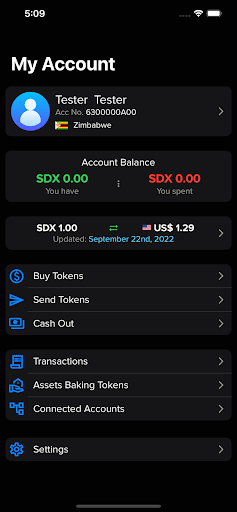LXToken Screen 2