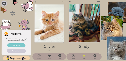 Cat Names & Photos - NameMyCat