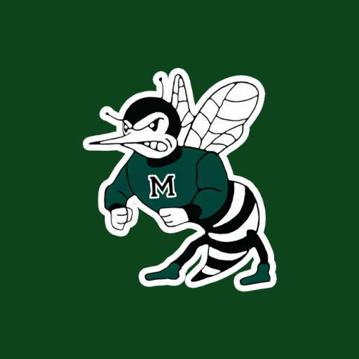 Brown Local Schools Malvern logo