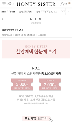 honey sister Screen 2