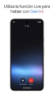 Google Gemini Screenshot