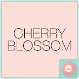 ColorfulTalk-CherryBlossom카톡테마 icon
