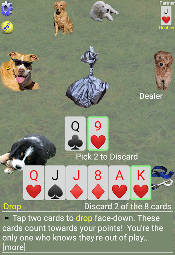 K9 Sheepshead (Schafkopf) Screen 3