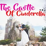 The Castle Of Cinderella icon