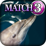 Match 3 - Dolphin Dreamz icon