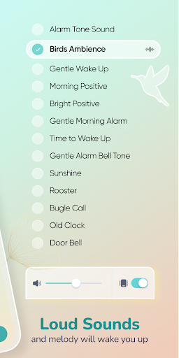 Flow: Alarm Clock Hz Care Wake Screen 2