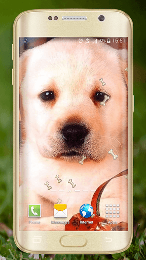 Cute Dogs Live Wallpaper