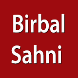 Birbal Sahni icon