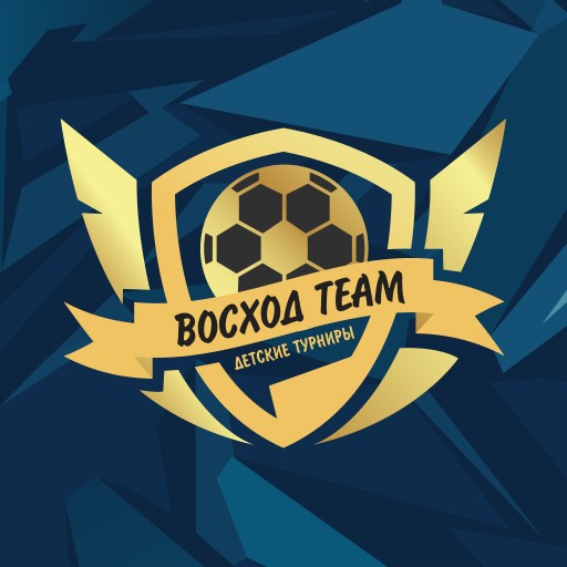 VOSHOD TEAM logo