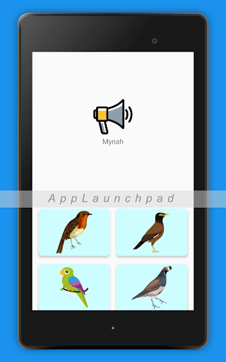 Preschool Kids Learn and Play