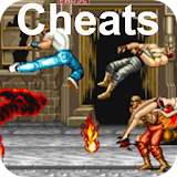 Cheats for Final Fight icon