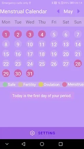 Menstrual calendar