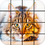 Cat Kittens Puzzle Games icon
