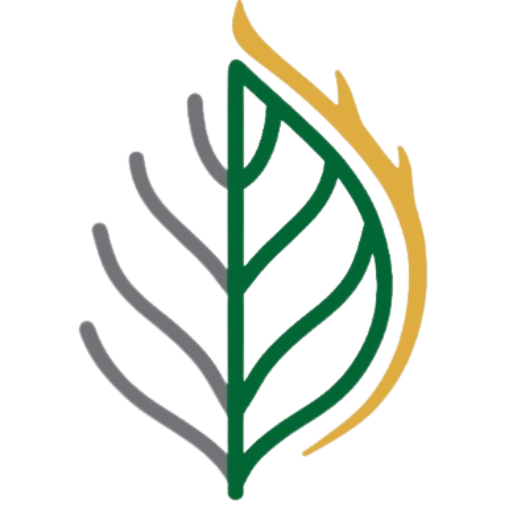 Igreja Batista Renovo - ES logo