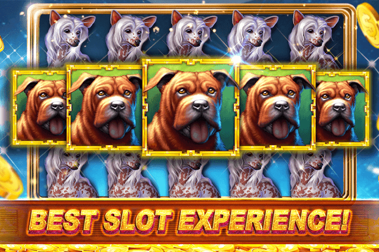 Slots Casino Slot Machine Game - 1.55.48 - (Android)