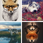 Cover Image of Tải xuống Fox HD Wallpapers  APK