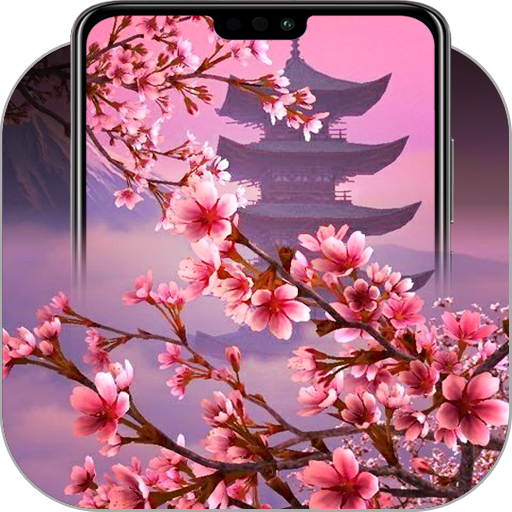 Cherry Blossom Wallpapers