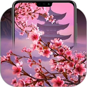 Cherry Blossom Wallpapers