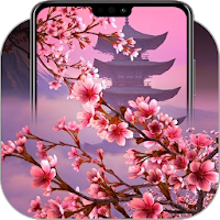 Cherry Blossom Wallpapers