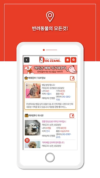 도그짱-강아지분양 전국애견분양 직거래 종합포털_6