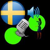 tala svenska : se icon
