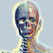 Anatomy View - Androidアプリ