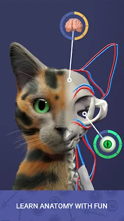 Game screenshot Idle Pet - Create cell by cell hack