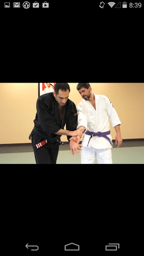 Art of the Wristlock