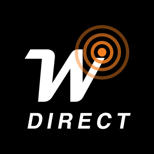 Wise Direct  Icon
