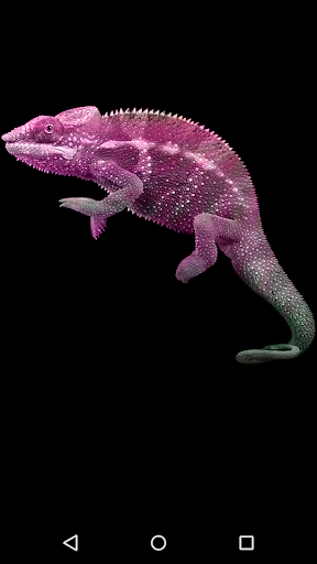 Chameleon Screen 2