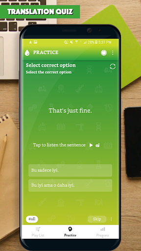 Turkish Sentence Master Screen 2