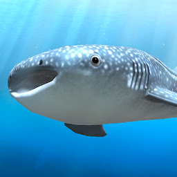 Icon image Whale shark that grows calmly