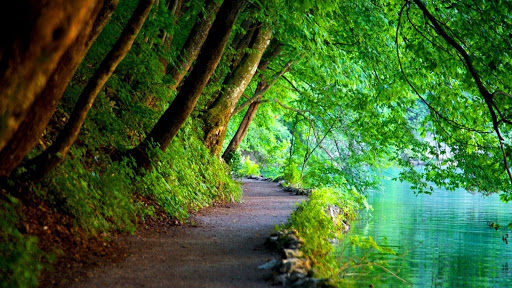Nature HD Wallpapers Screen 2