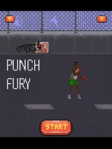 Punch Fury