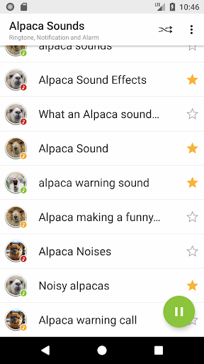 Alpaca Sounds Screen 3