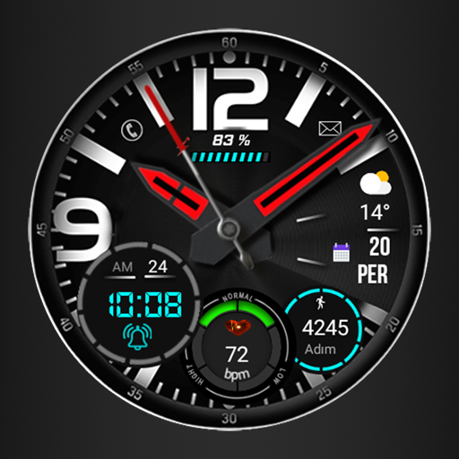 FSW257 Watch face logo