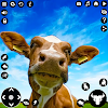 Cow Simulator: Bull Attack 3D icon
