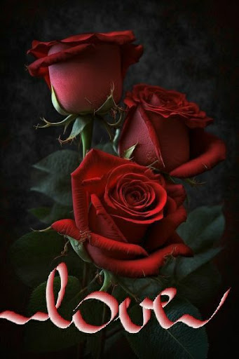Android application Flowers Images GIF screenshort