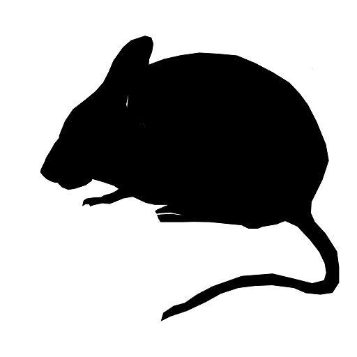 Mouse Sound  Icon